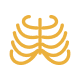 Chẩn đoán hình ảnh